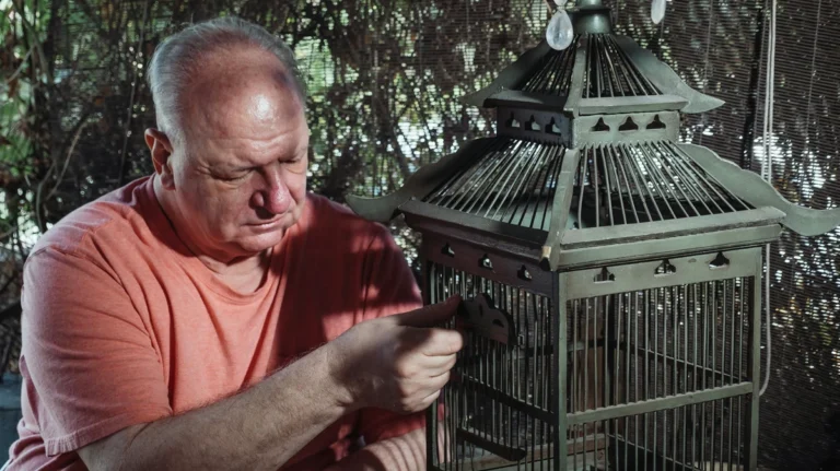 demans hastalarinda evde – yaşlı bakımı görseli