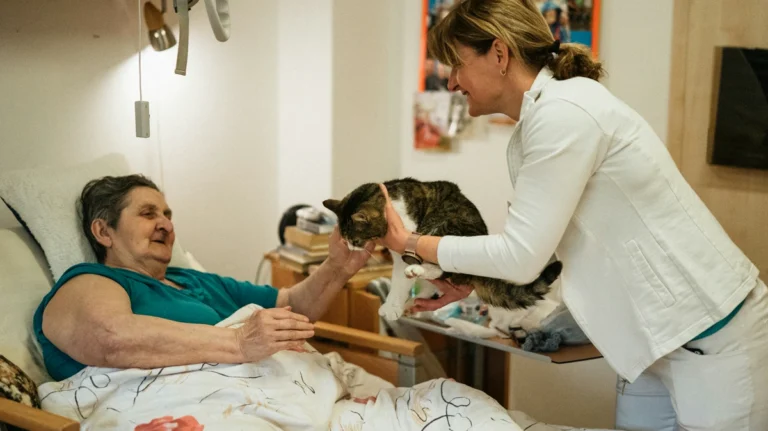 engelli bakiminda degerlendirme – yaşlı bakımı görseli