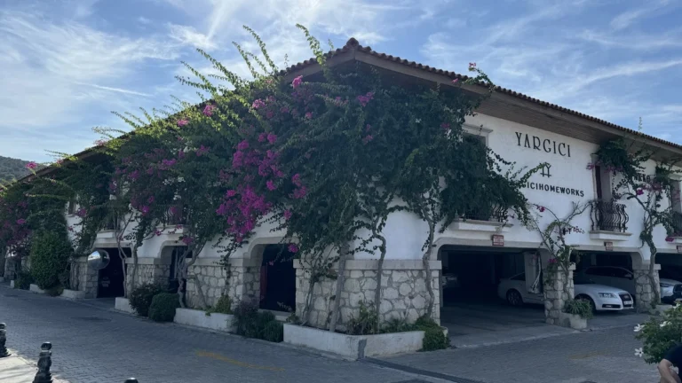 Engelli Tuvaleti fotoğrafı