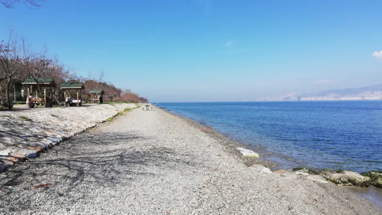 Engelliler Parkı fotoğrafı