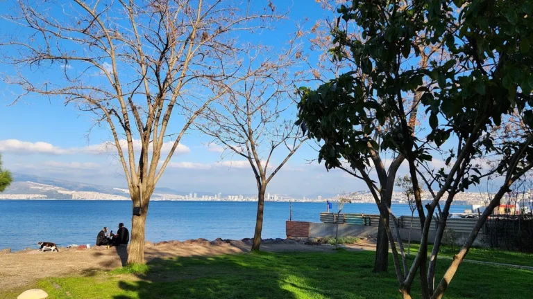 İnciraltı Engelliler Merkezi Şubesi fotoğrafı