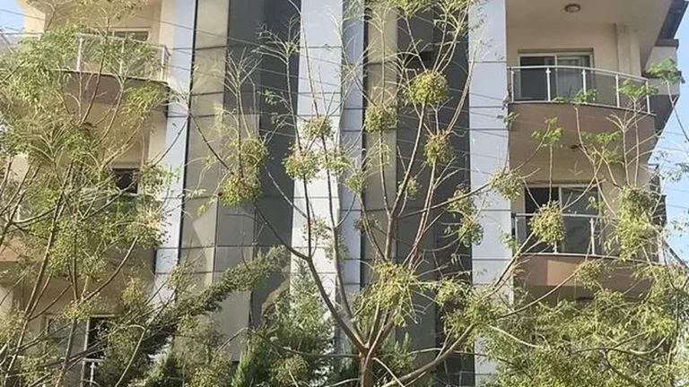 İzmir Platin Huzurevi ve Yaşlı Bakım Merkezi fotoğrafı