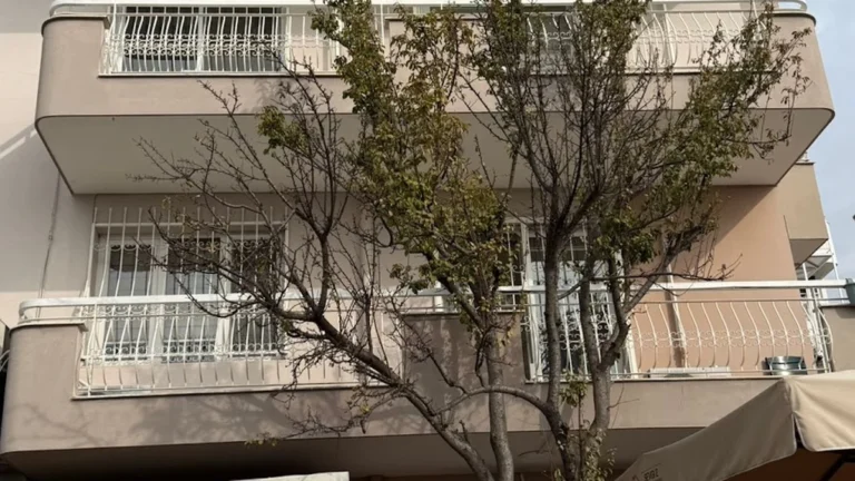 Özel Sevgi 2 Huzurevi ve Yaşlı Bakım Merkezi fotoğrafı